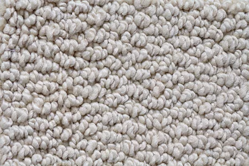 Nylon Carpet