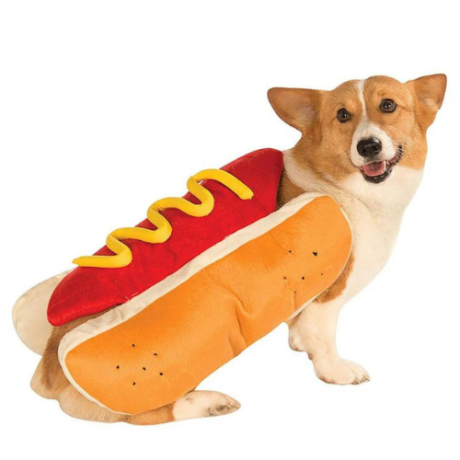 Hot Dog costume for dogs- halloween costume