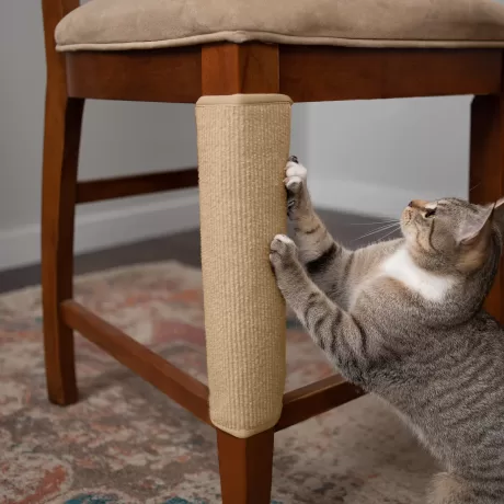 Cover Furniture With Scratching Posts