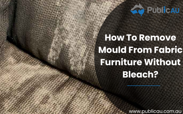 How To Remove Mould From Fabric Furniture Without Bleach