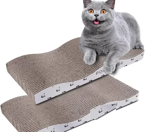 Scratching Surfaces for cats