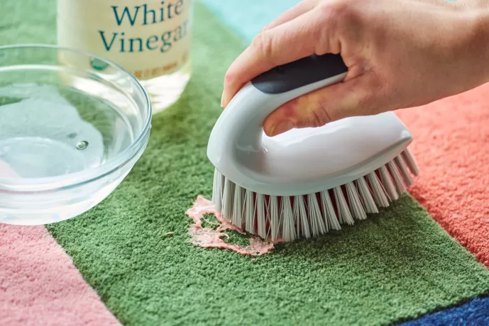 apply vinegar on carpet slime